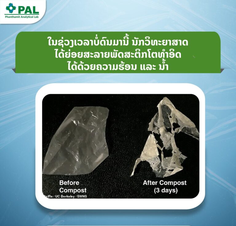 The first truly biodegradable plastics