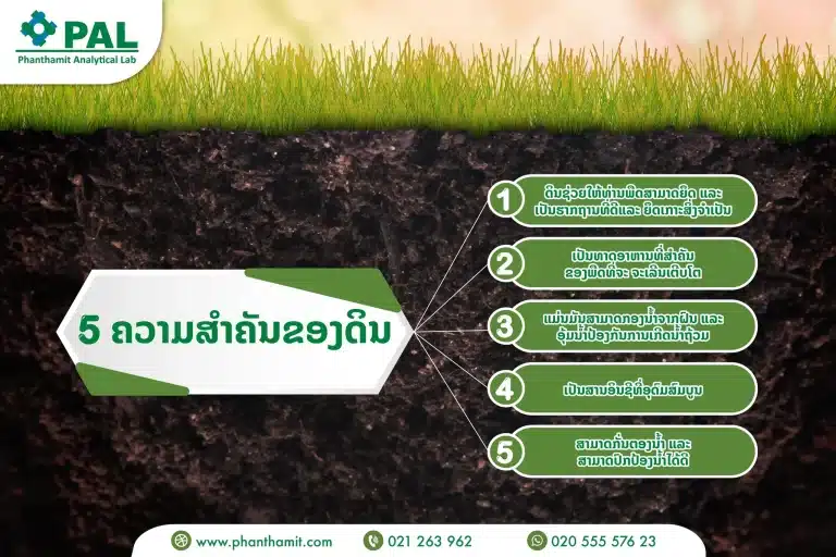5 Importance of Soil
